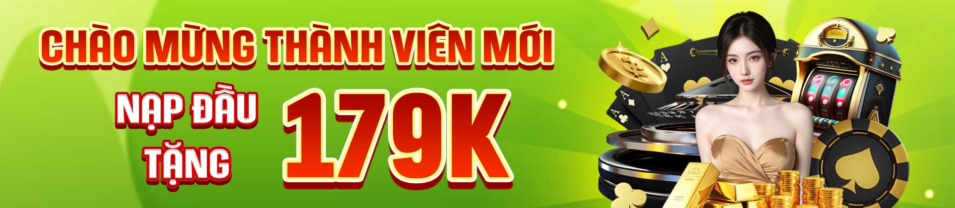 Banner thương hiệu 69VN