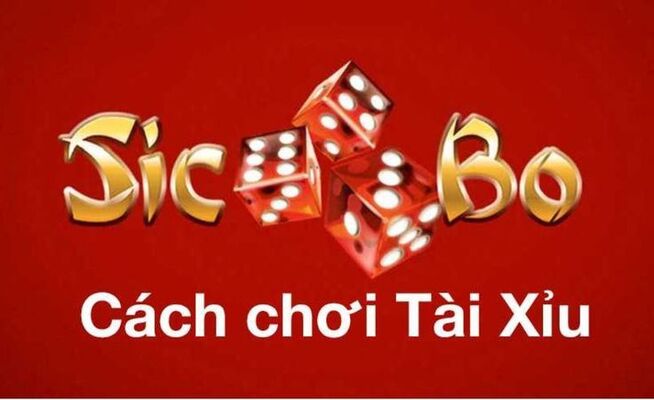 Tuyệt chiêu chơi tài xỉu để giành chiến thắng hiệu quả