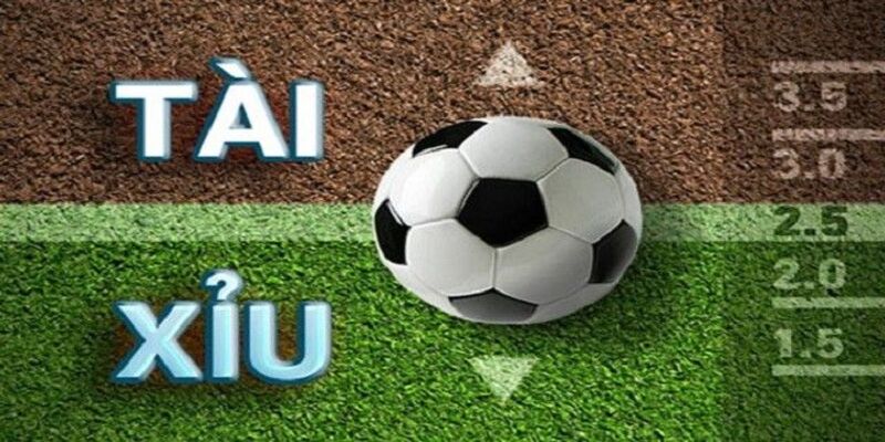 Chiến Thuật Đặt Cược Tài Xỉu