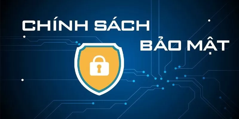 Các Biện Pháp Bảo Vệ, Luật Pháp Và Trách Nhiệm Được Áp Dụng