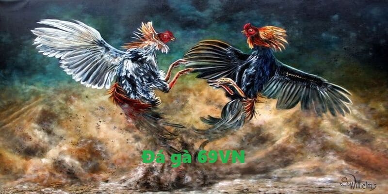 Sức hút của Đá gà 69VN trong làng giải trí cá cược