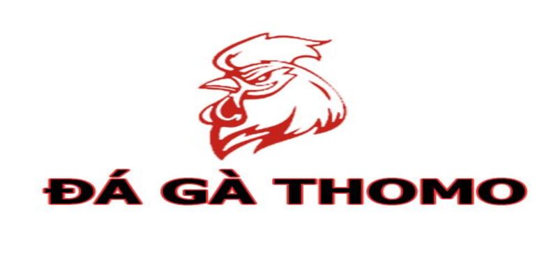 Kỹ thuật và chiến thuật trong đá gà Thomo cựa dao