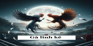 Gà Linh Kê – Bí Ẩn Của Những Trận Đấu Đỉnh Cao Trong Giới Gà Chọi