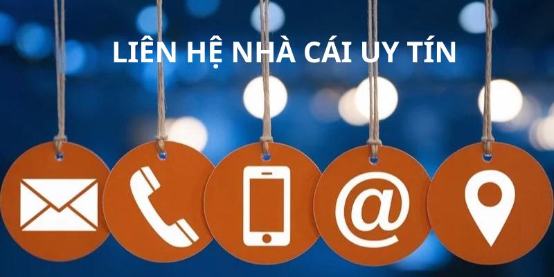 Các Phương Thức Liên Hệ 69VN Hiện Có