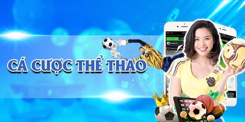 Đa Dạng Sản Phẩm Tại Thể Thao 69VN – Không Chỉ Là Bóng Đá