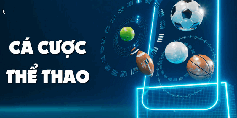 Tại Sao Bạn Nên Chọn Thể Thao 69VN Để Cá Cược?